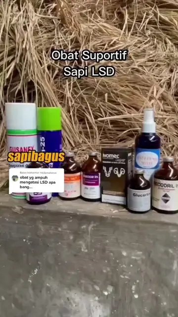 Obat-Suportif-Sapi-LSD-